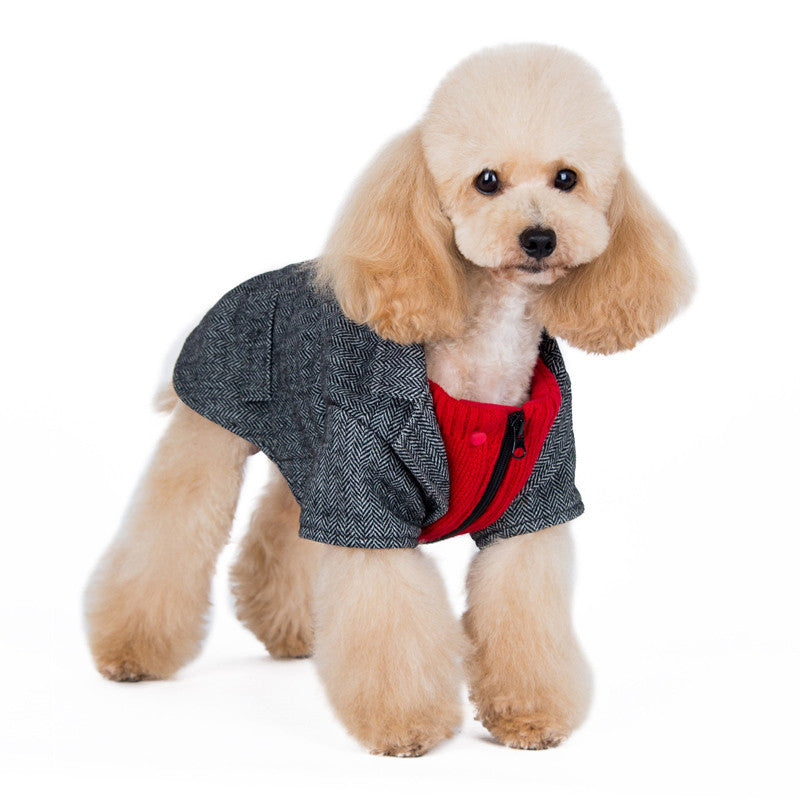 Gray tweed dog blazer coat with red lining and black zipper, worn by a small dog