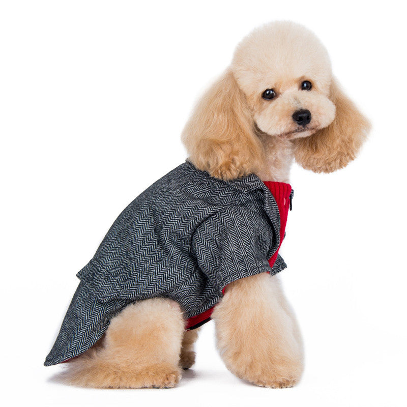 Gray herringbone tweed dog blazer coat with red inner panel and black zipper, side view