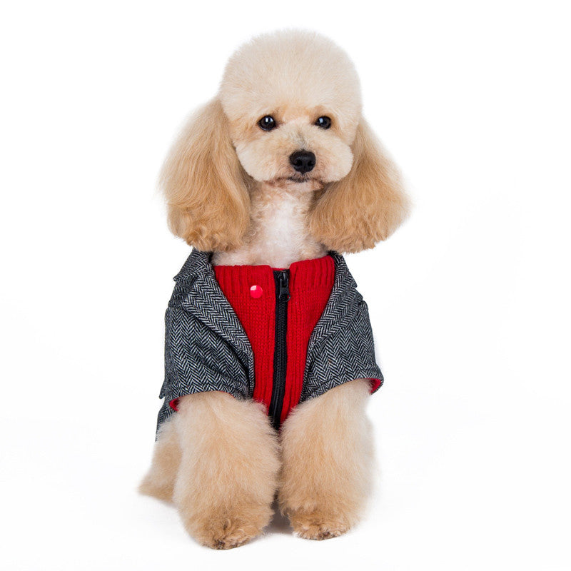 Front view of gray tweed dog blazer coat with red center panel and black zipper pull
