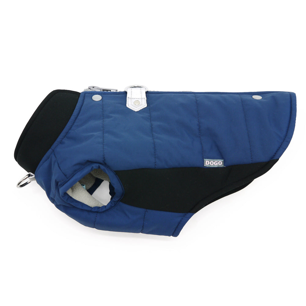 Flat-lay view of blue dog coat with black side panels, button snap, and handle loop.