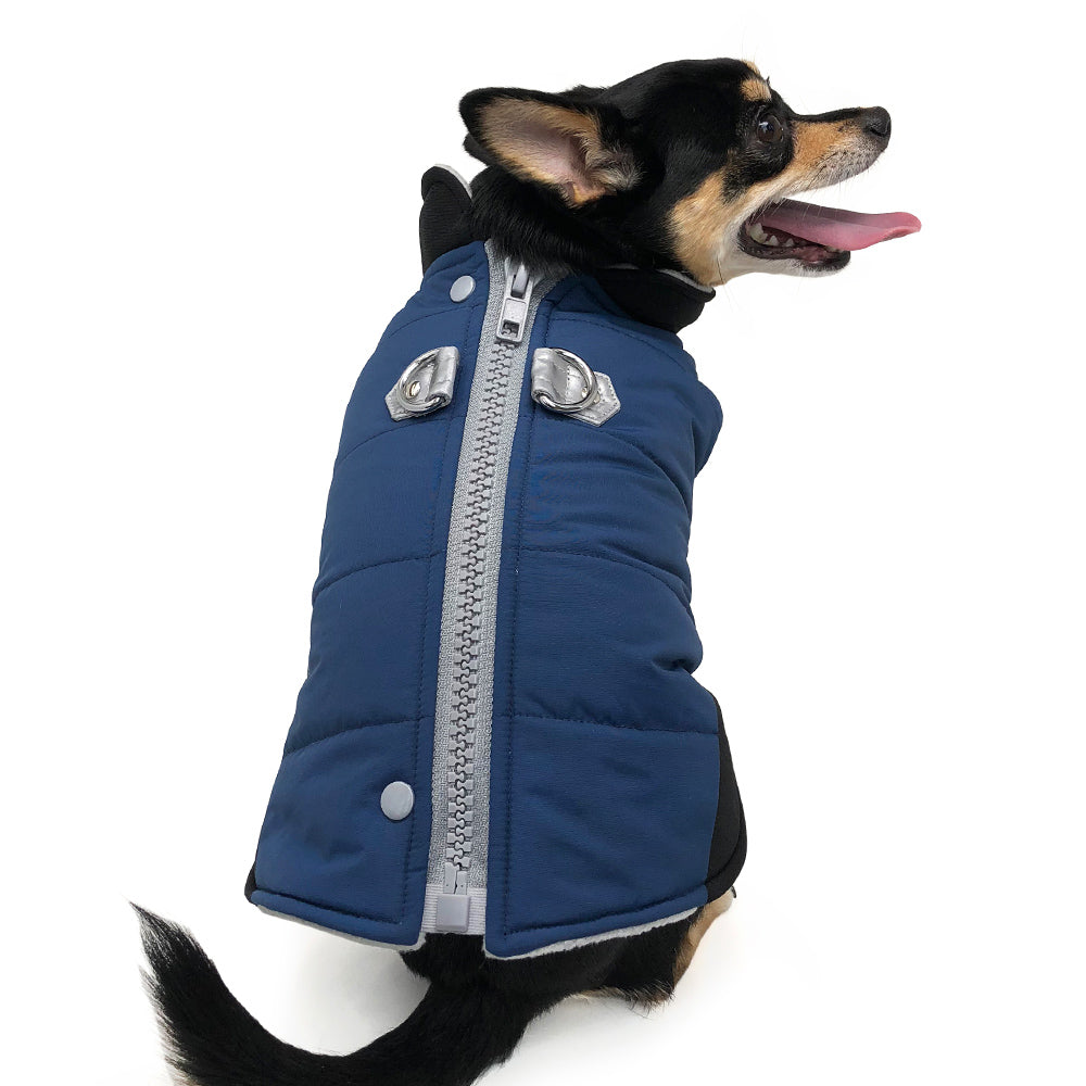 Blue zip-up dog coat with silver zipper and patch pockets on the front panel.