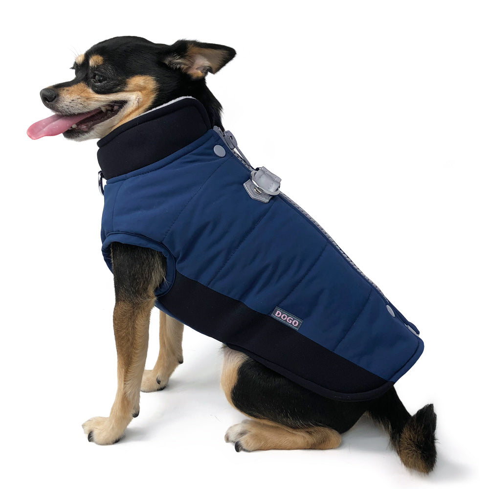 Blue and black dog coat with padded body, front zipper, and adjustable chest strap.