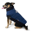 Blue and black dog coat with padded body, front zipper, and adjustable chest strap.