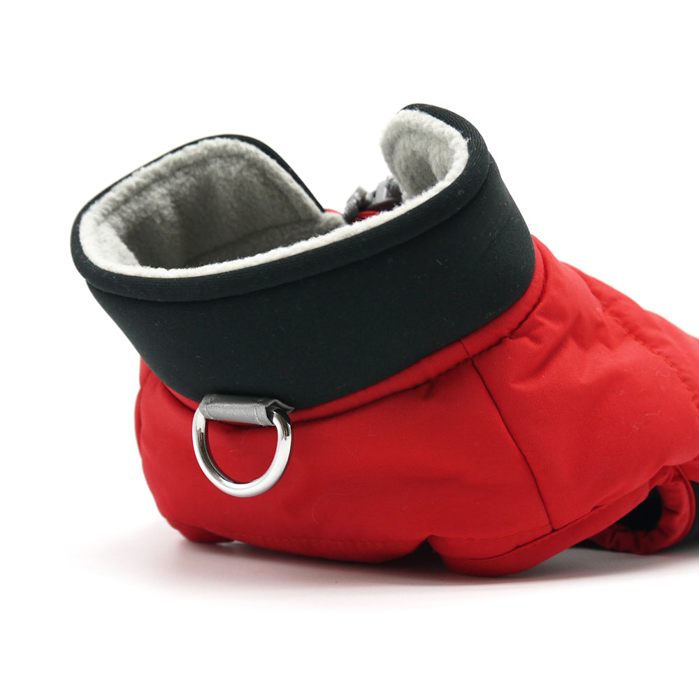 Red dog coat with black padded collar and circular ring leash attachment, close-up