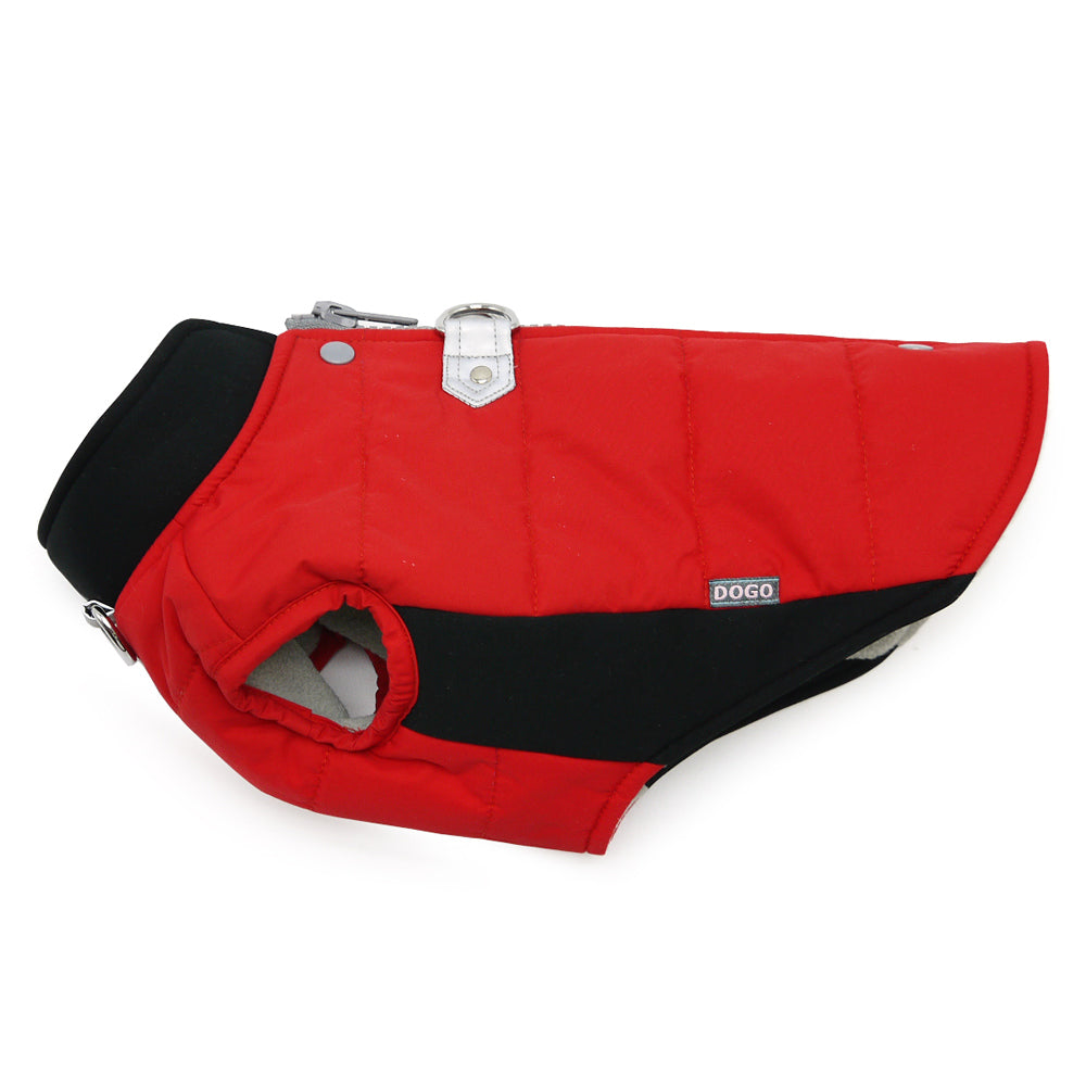 Red dog coat with black bottom panel, side leash clip, and padded quilted fabric