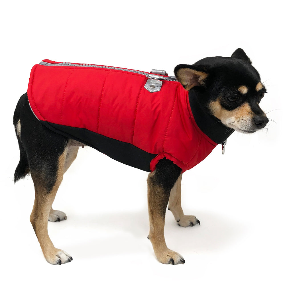 Red padded dog coat with gray zipper and metal top closure, side view on dog