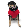 Red and black padded dog coat with full zipper and gray collar trim, worn on dog