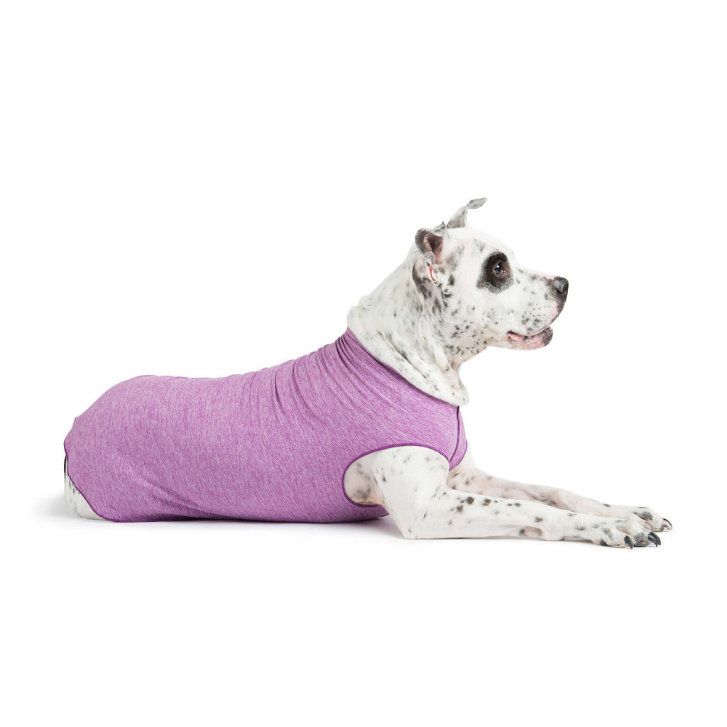 Violet dog tee, short-sleeve sun shield design on lying white speckled dog