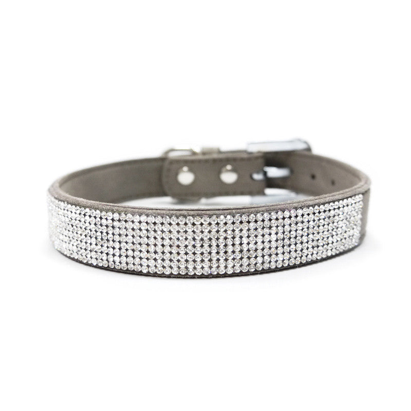 Gray rhinestone dog collar with dark buckle and full sparkly band
