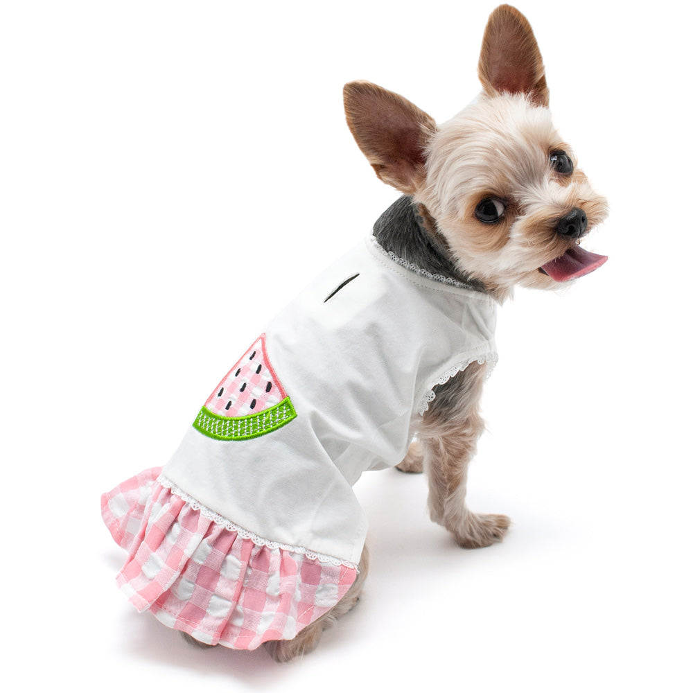 Dog dress with white top, watermelon slice applique, and pink gingham ruffle skirt