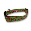 Green dog collar with watermelon print, adjustable buckle and metal D-ring.