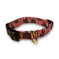 Patriotic waving-flags dog collar, black trim, gold buckle; stars and stripes